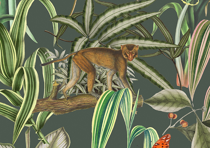 Barbados, Lush Green - Roman Blind - Image 7